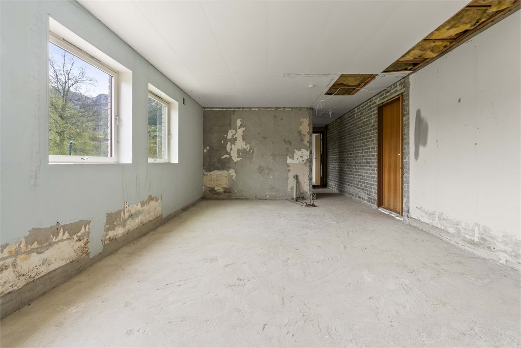 DS Property