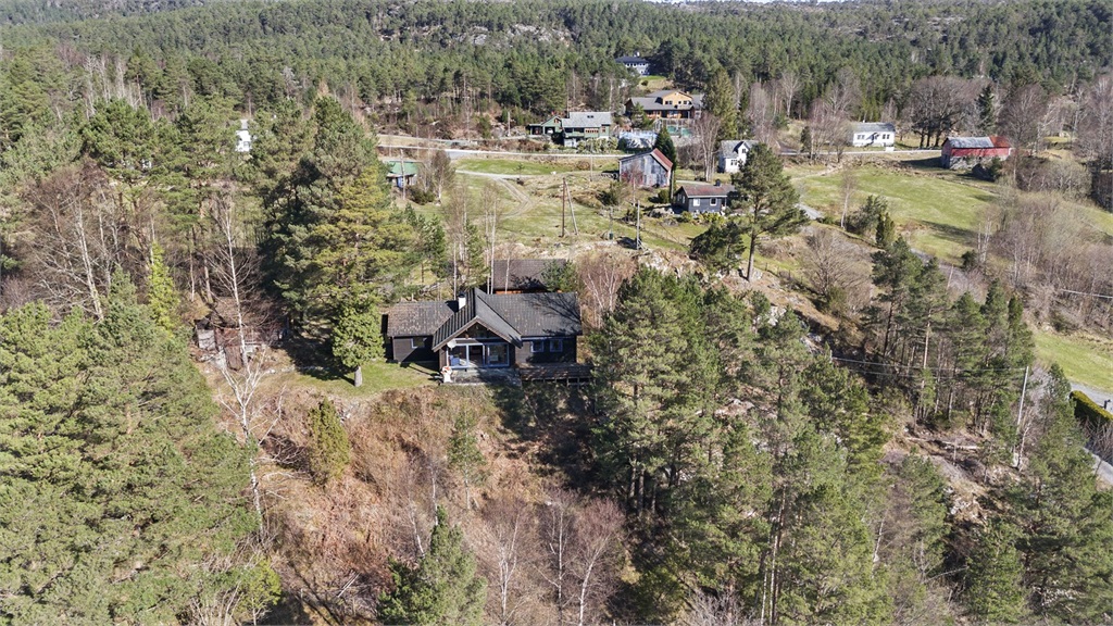 DS Property