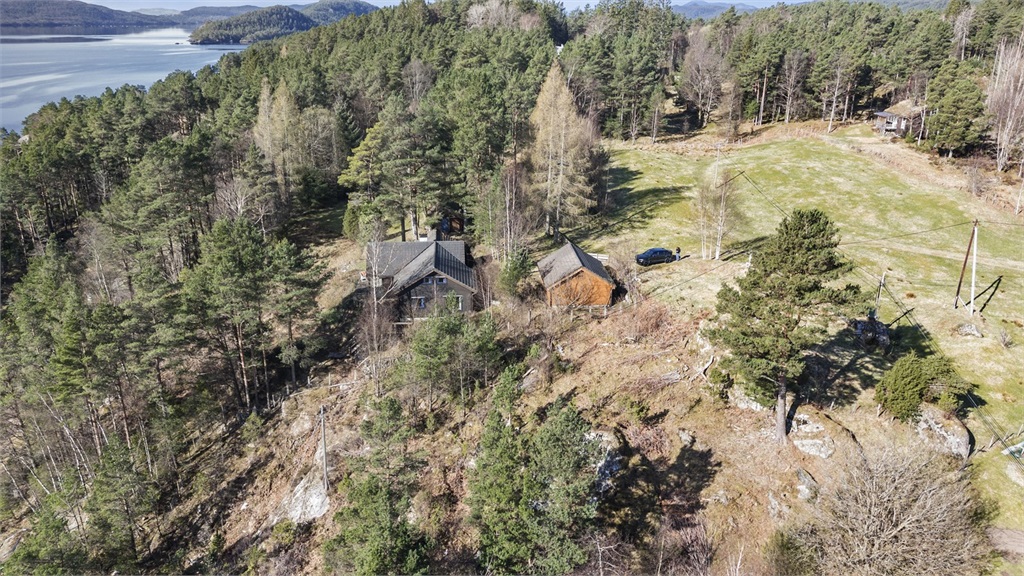 DS Property