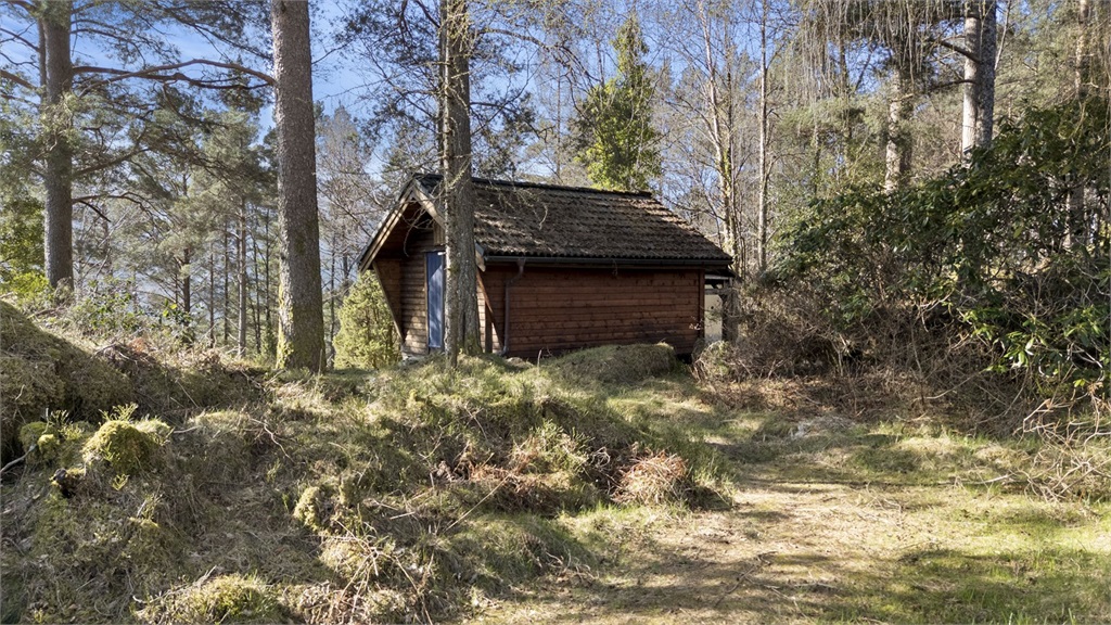 DS Property