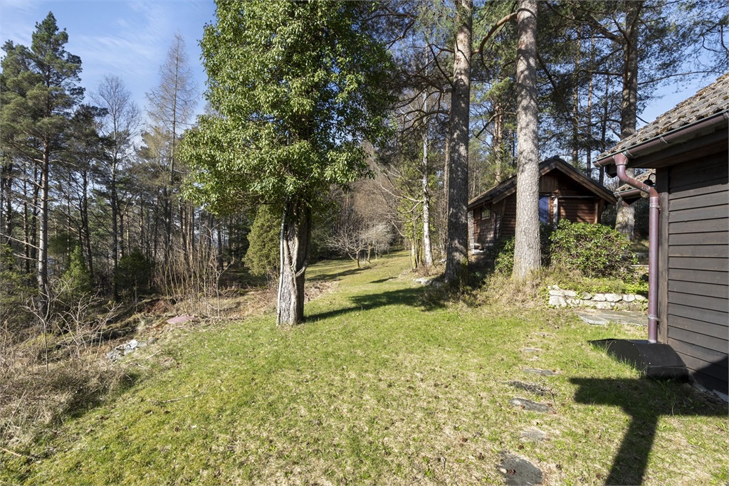 DS Property
