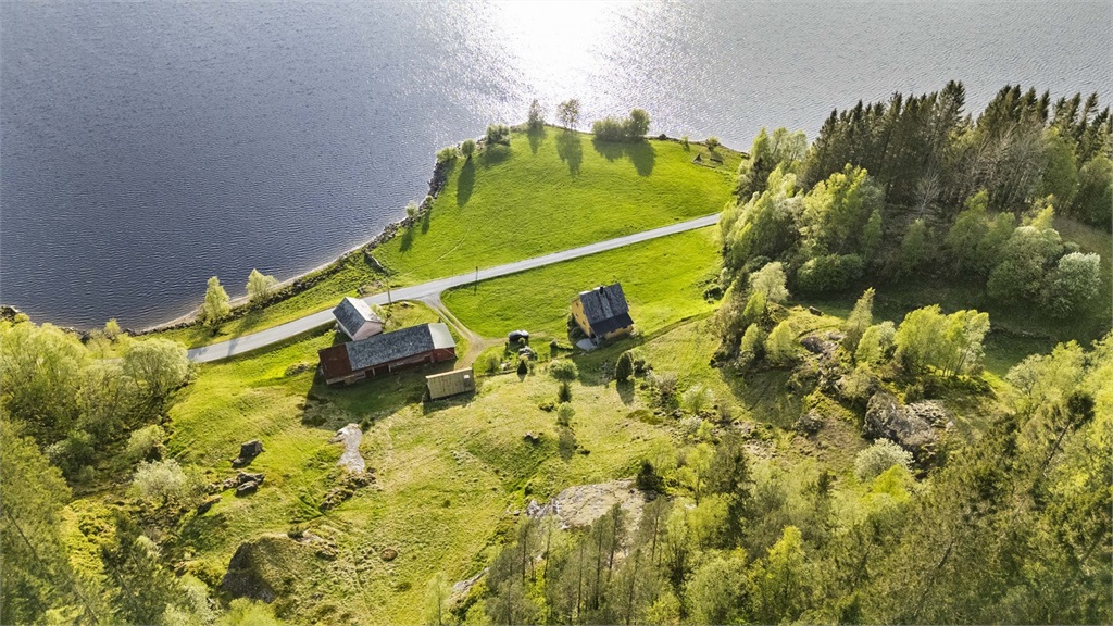 DS Property