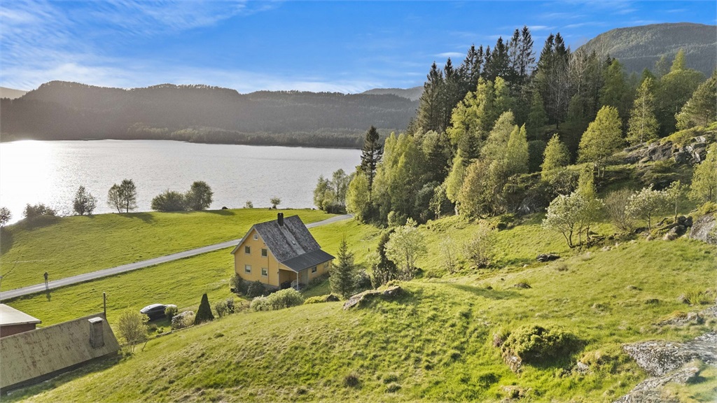 DS Property