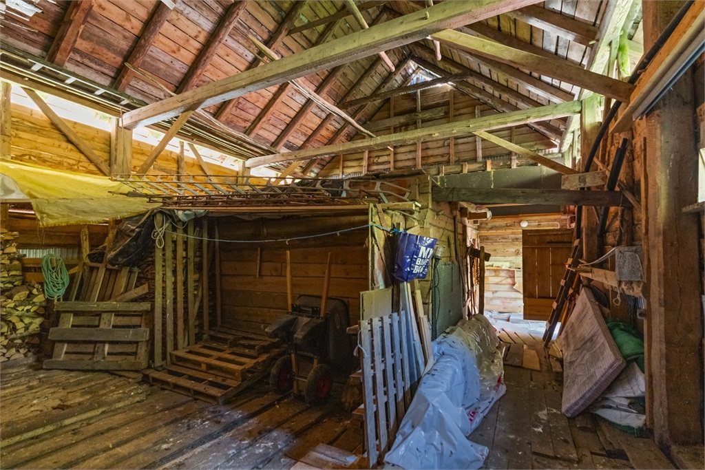 DS Property