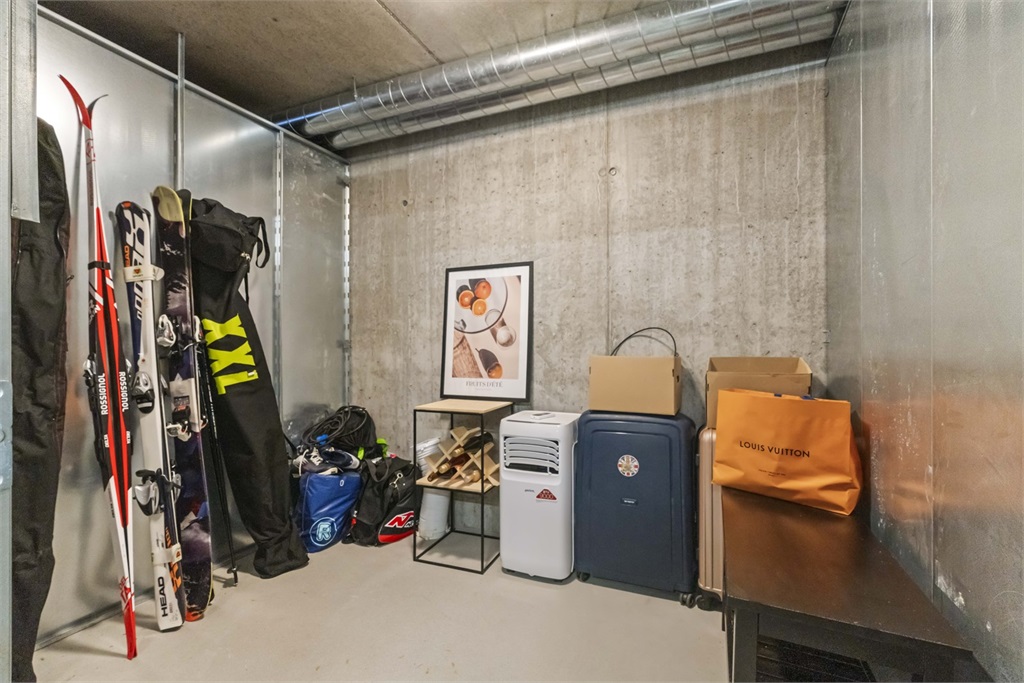DS Property