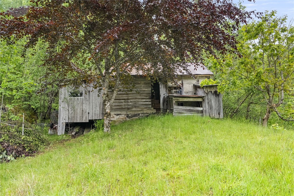 DS Property