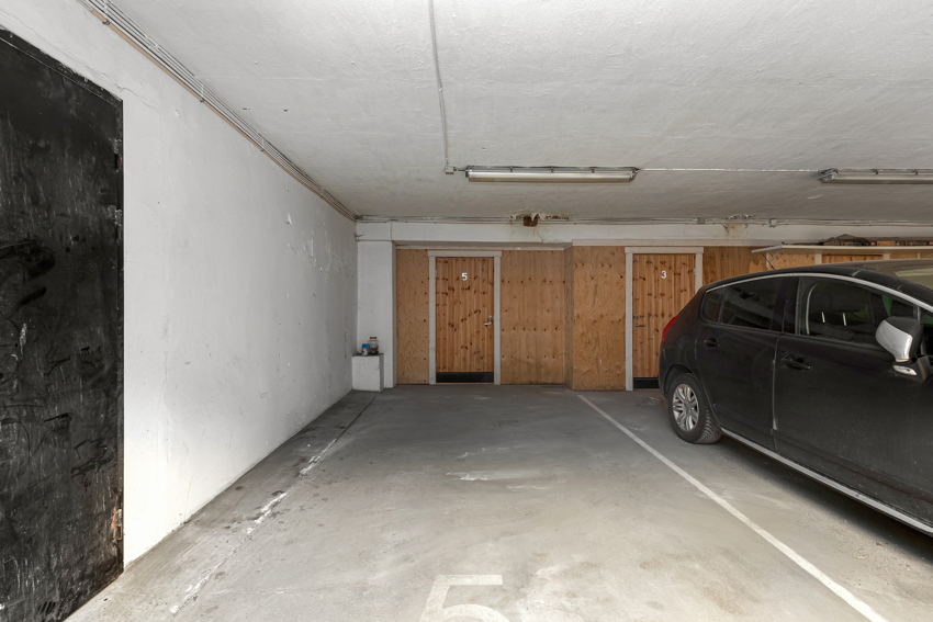 DS Property
