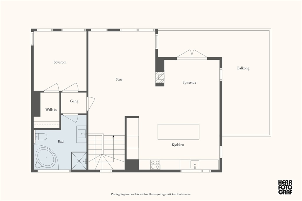 DS Property