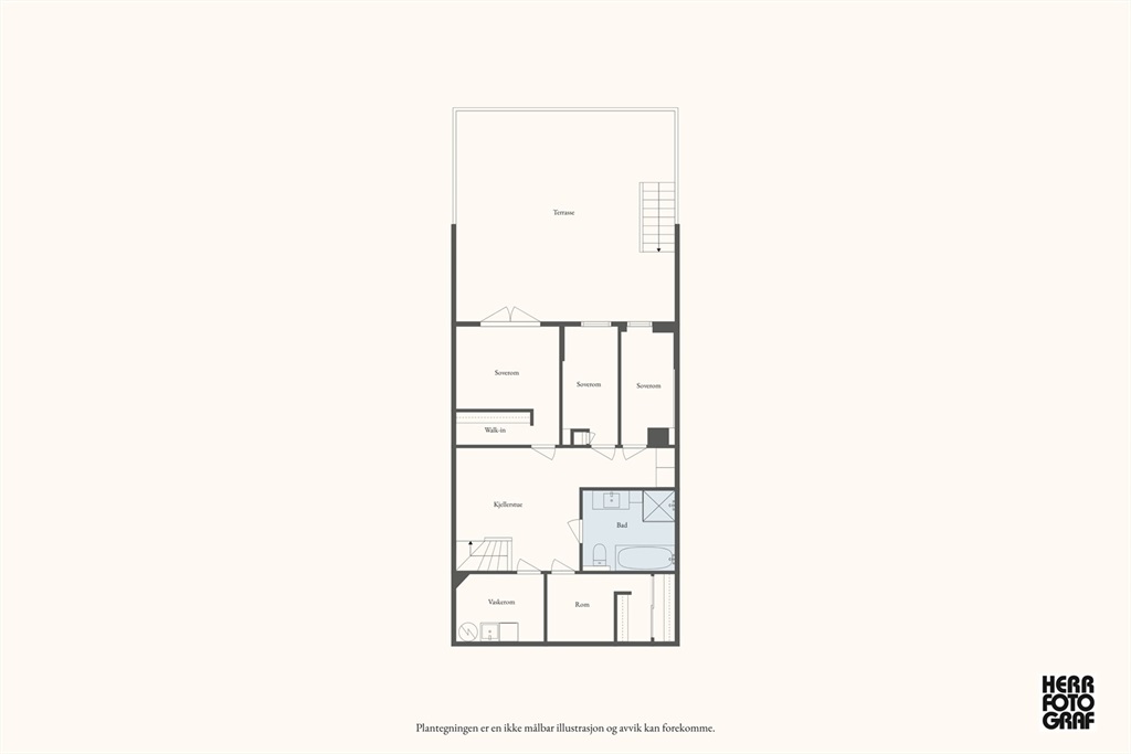 DS Property