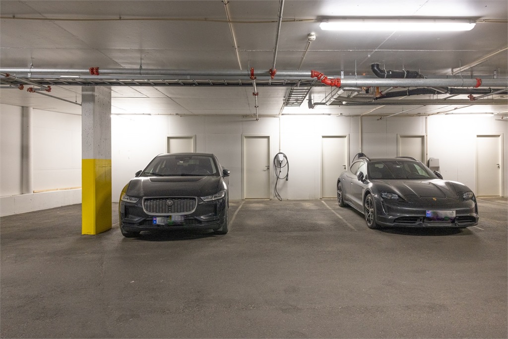 DS Property