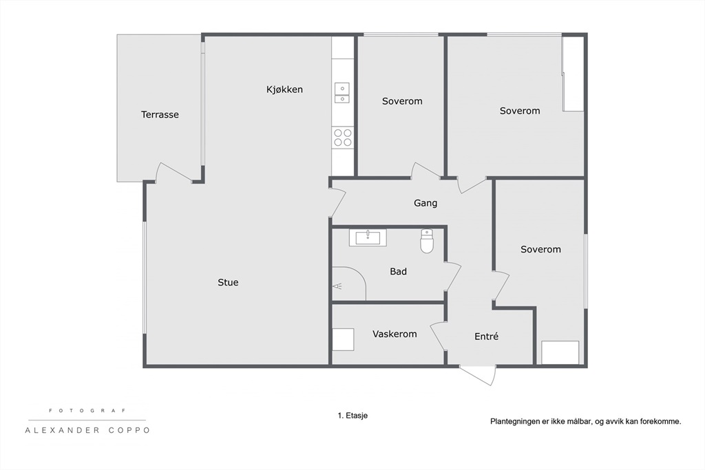 DS Property