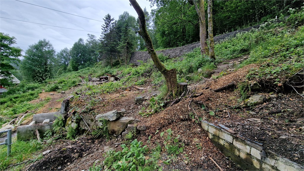 DS Property