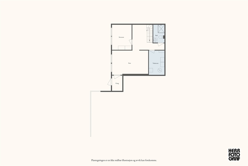 DS Property