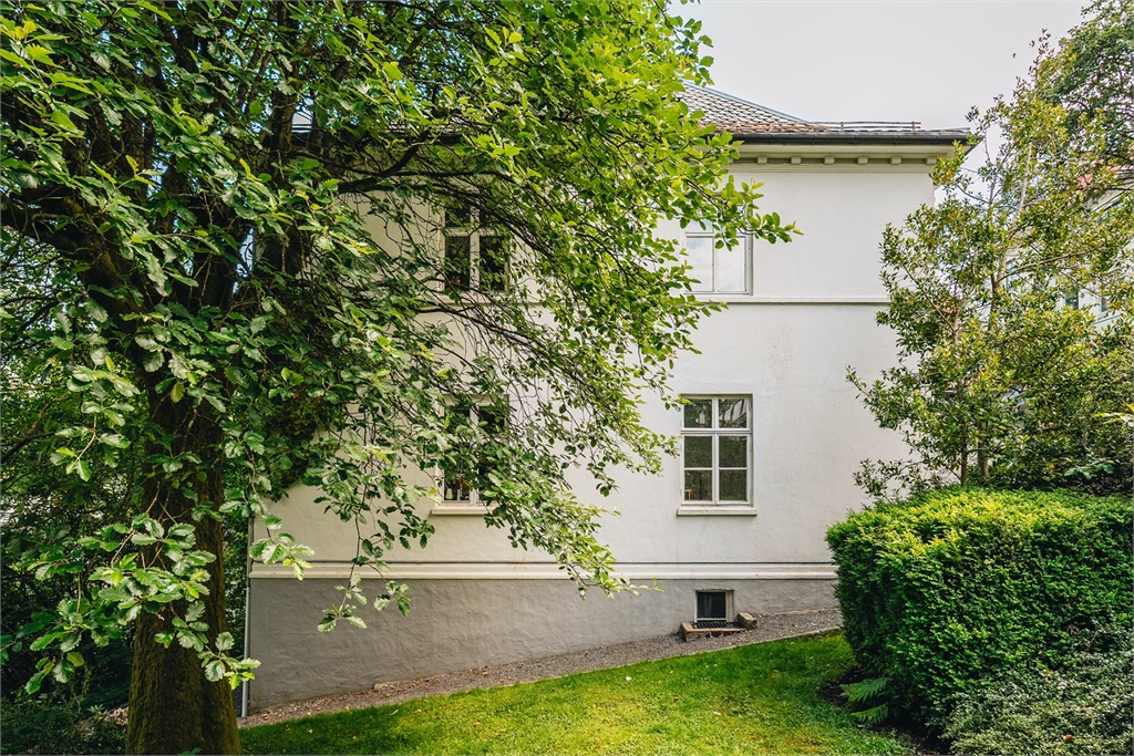 DS Property