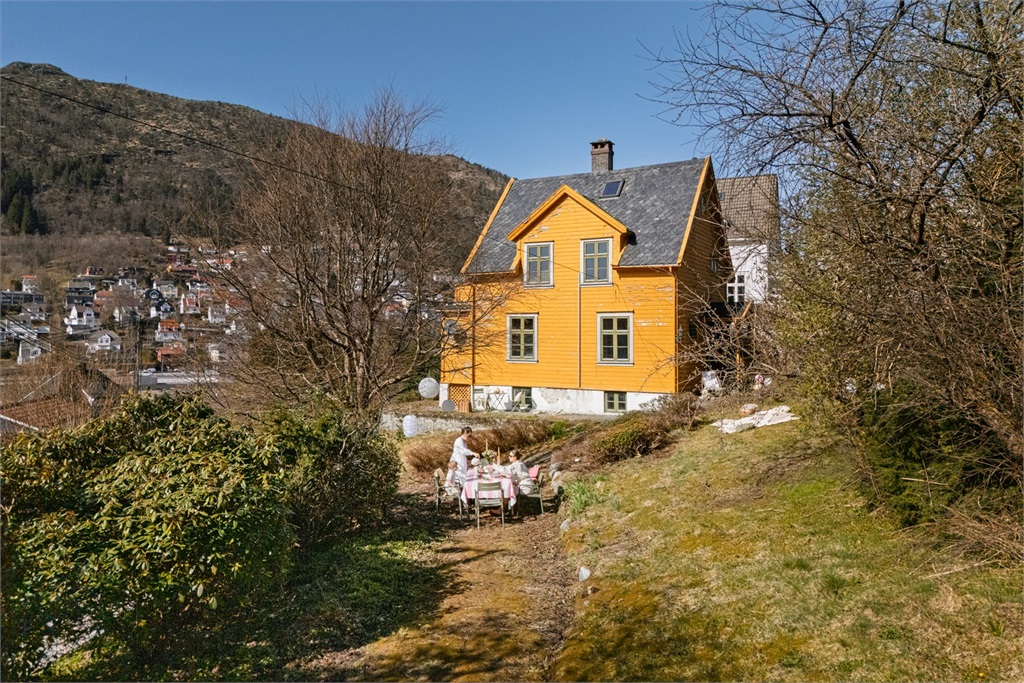 DS Property
